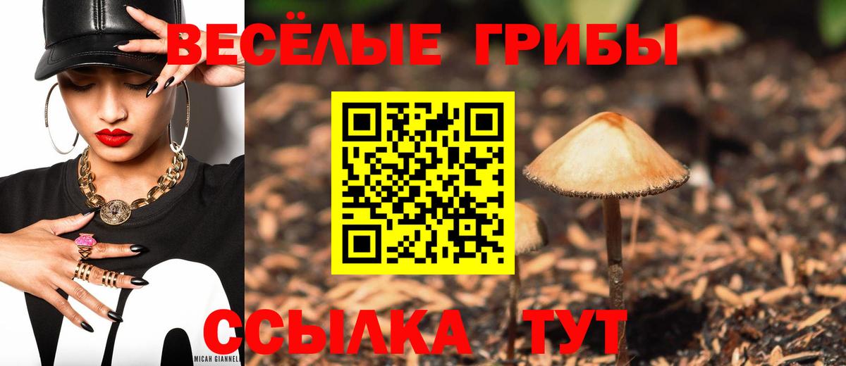 Псилоцибиновые грибы ЛСД Жигулёвск