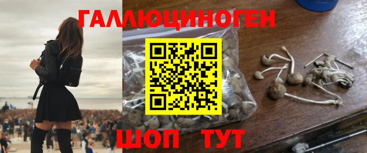 Жигулёвск  Галлюциногенные грибы Psilocybine cubensis  Вход с VPN 